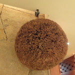 佐賀牛 季楽 銀座  - 杉玉