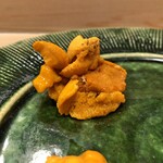 うを徳 - 函館 雲丹（天然）