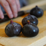 ペレグリーノ - 