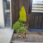 カフェかちまめ - 