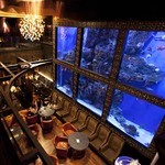 LUXIS - ウミガメが泳ぐ水槽は圧巻