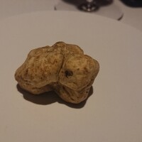 マルゴット エ バッチャーレ - 