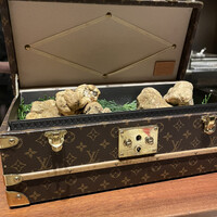 スガラボヴィー - 