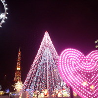 ジャルダン ポタジェ テラニシ - ミュンヘンクリスマス市は、大通公園で開催しています（大通公園のホワイトイルミネーション）