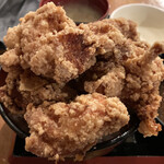 Karaage Hitosuji - 