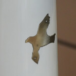 ペレグリーノ - 