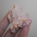 ペレグリーノ - 