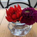 アプテカ フレーゴ - 