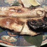 代官山ＳｕｓｈｉＤｉｎｉｎｇ一艸亭 - のどぐろの一夜干し