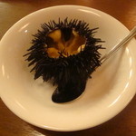 青森PR居酒屋 りんごの花 - 八戸産朝獲れウニ