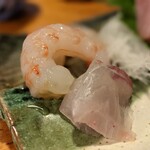 天史朗鮨 - ボタンエビ