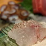 天史朗鮨 - チダイ