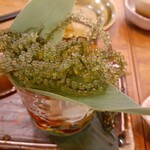 Okinawashokudouhaisai - 海ぶどう