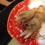 すし処　巌 - おにエビ