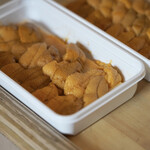 ペレグリーノ - 