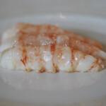 ペレグリーノ - 