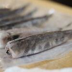 ペレグリーノ - 