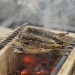 ペレグリーノ - 