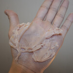 ペレグリーノ - 