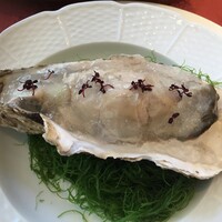 キノシタ - 