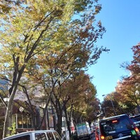 表参道うかい亭 - 表参道、秋の空