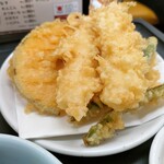 Tendon Tenya - 