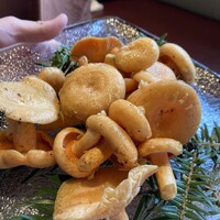 ウシマル - 千葉には素晴らしいキノコがある！！
