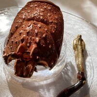 ウシマル - 甲羅の風味が✖️