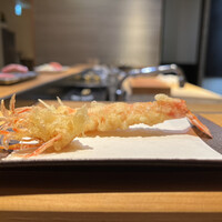 銀座 よこ田 -  銀座 よこ田 -