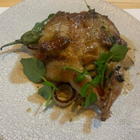 四ツ橋・新町 牡蠣と肉たらしビストロAKIRA - 