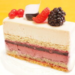 アテスウェイ - ルビー