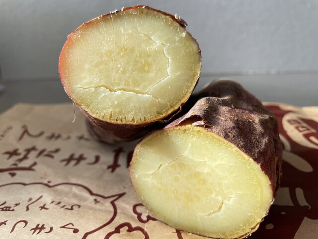 メガ ドン・キホーテ ル・パーク三川店（MEGA Don Quijote） - 鶴岡（その他）の写真