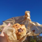 ガーデニア コーヒーハウス - チョコレートとヘーゼルナッツのスコーン