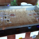 SANKARA HOTEL&SPA 屋久島 - 