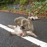 SANKARA HOTEL&SPA 屋久島 - 