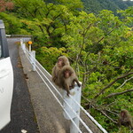 SANKARA HOTEL&SPA 屋久島 - 