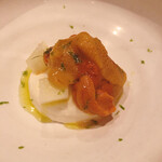 アノニム - 根セロリのピュレ リンゴと塩水ウニ