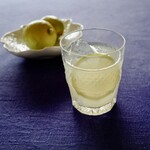 紀ノ国屋 - ベランダのレモンで「ジン・レモン」