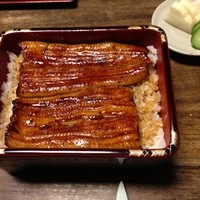 明神下 神田川 本店 - 老舗の鰻屋の締めはやっぱりうな重ですね。辛口のタレが印象的。