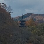 定義とうふ店 - 今年の紅葉