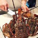 日本料理 晴山 - 