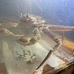 食彩厨房 甚兵衛 - かに