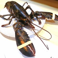四ツ橋・新町 牡蠣と肉たらしビストロAKIRA - 