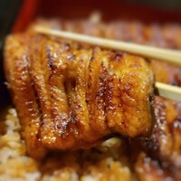 うなぎ 目白ぞろ芽 - 