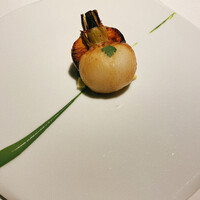 レフェルヴェソンス - 