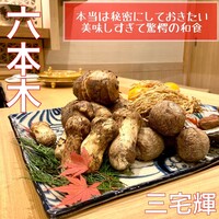 三宅輝 - 