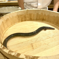 三宅輝 - 