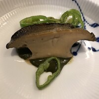 キノシタ - 