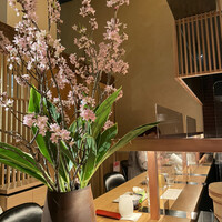 肉和食 月火水木金土日 - 