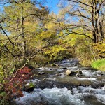 Chinese Suiyo - Haru-nire Terrace